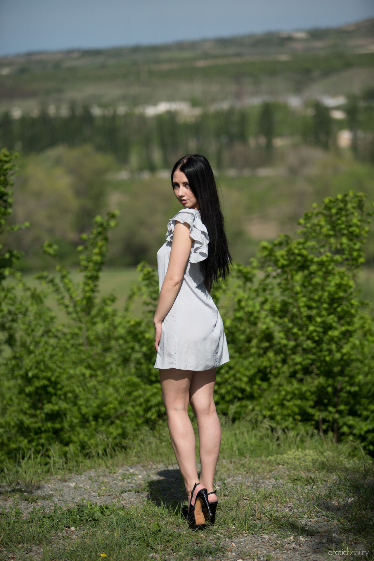 Panorama View-00